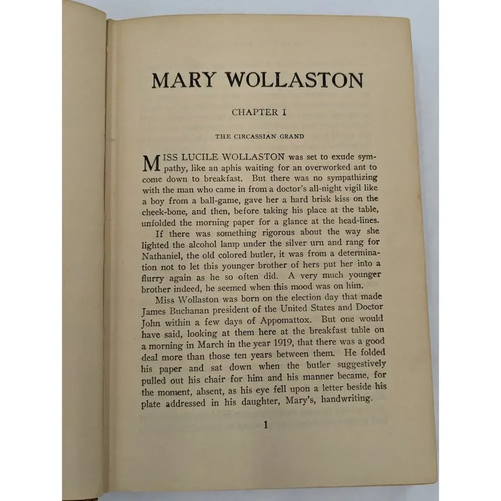 Mary Wollaston By Henry Kitchell Webster Antiquarian Vintage Novel 1920